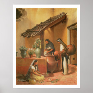 The Water Place (Tortugo) Poster