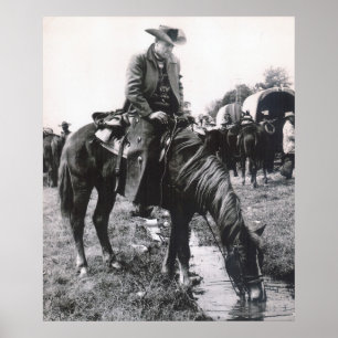 THE WATERING HOLE POSTER