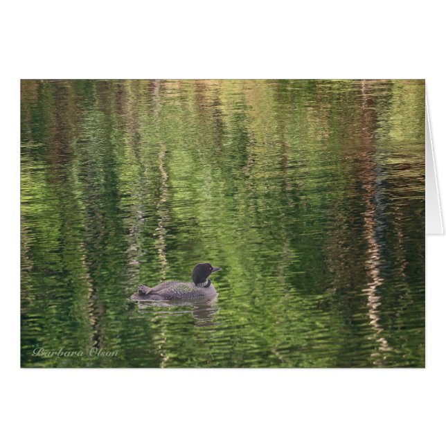 The waters of Walden Pond--Common Loon (Front Horizontal)