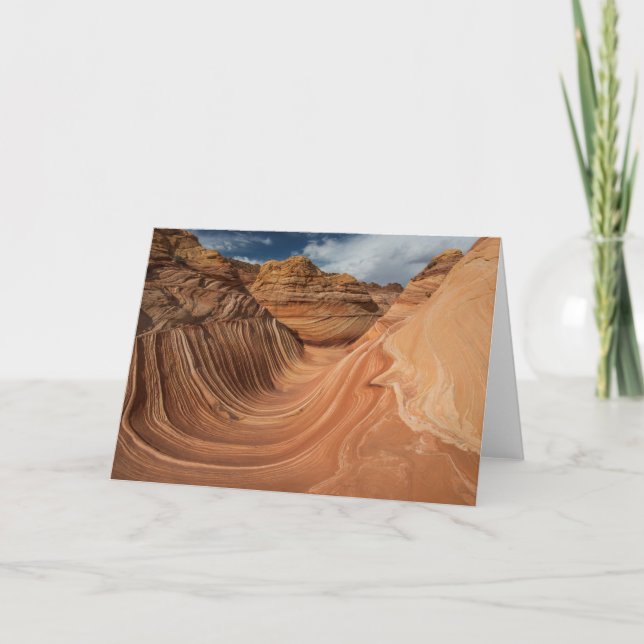 The WAVE Card (Front)