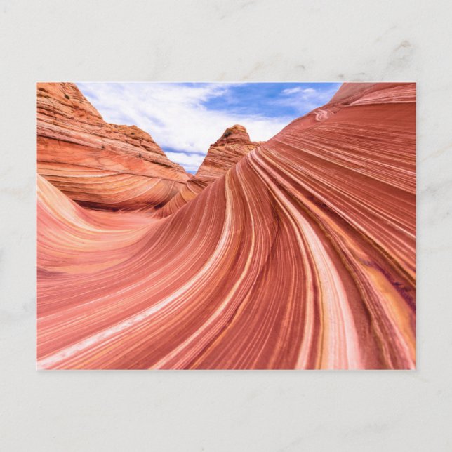 The Wave Sandstone Rock Formation Postcard (Front)