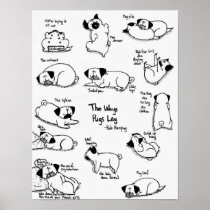 The Ways Pugs Lay Poster