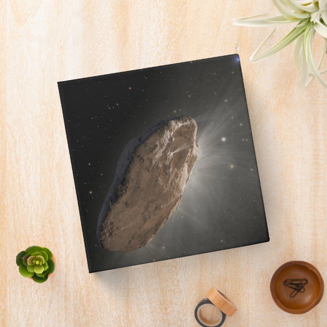 The Wayward Interstellar Object Oumuamua. Binder (In Situ)