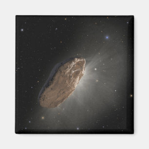 The Wayward Interstellar Object Oumuamua. Magnet