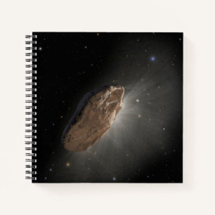 The Wayward Interstellar Object Oumuamua. Notebook
