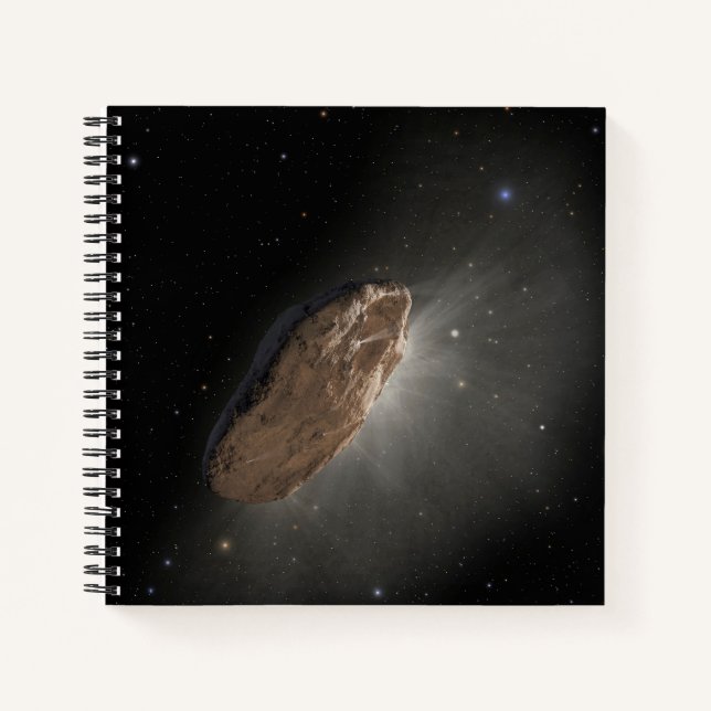 The Wayward Interstellar Object Oumuamua. Notebook (Front)