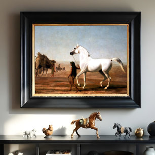 The Wellesley Grey Arabian by Jacques Agasse Poster