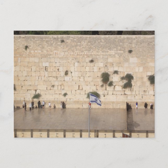 The Western Wall (Kotel), Jerusalem Postcard (Front)