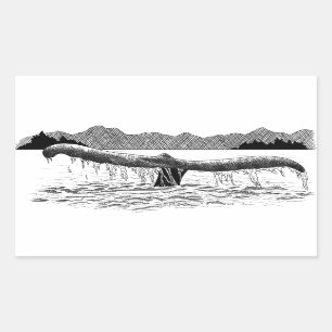 The Whale's Tail Sticker