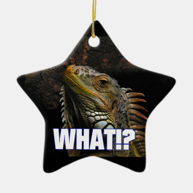 The What!? Iguana Ceramic Ornament (Front)