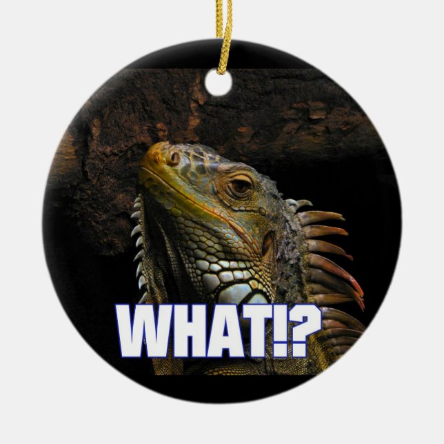 The What!? Iguana Ceramic Ornament (Front)