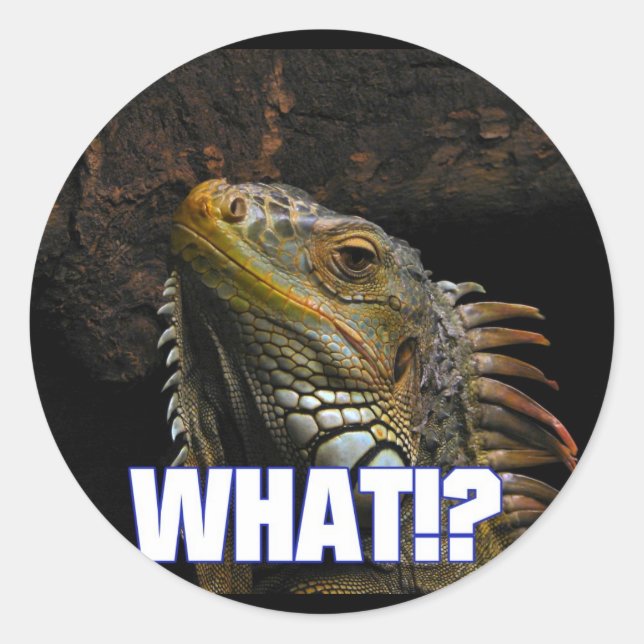 The What!? Iguana Classic Round Sticker (Front)