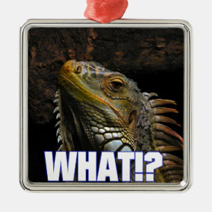 The What!? Iguana Metal Ornament