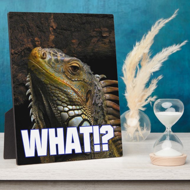 The What!? Iguana Plaque (Side)