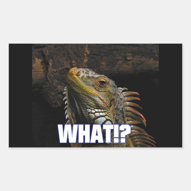 The What!? Iguana Sticker (Front)