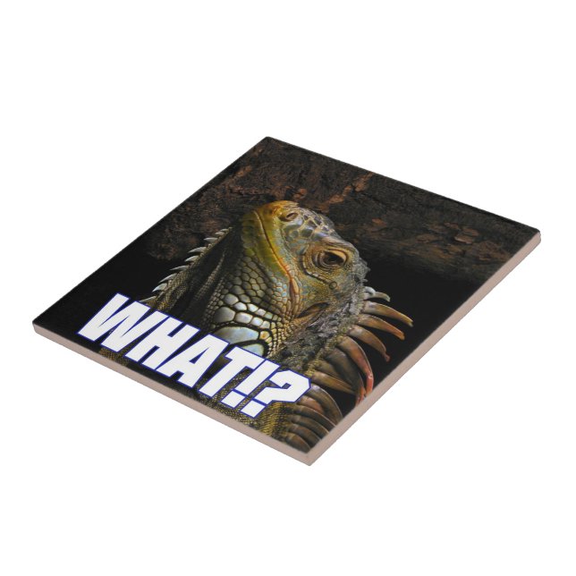 The What!? Iguana Tile (Side)