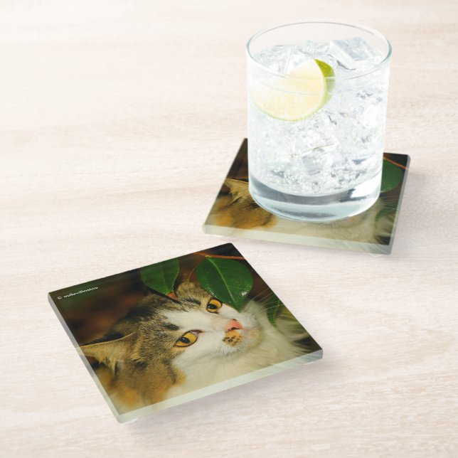 The Whimsical Cat and the Camellia Glass Coaster (Angled)