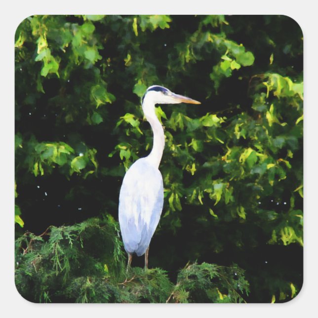 The White Bird Sticker (Front)