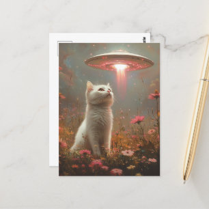 The White Cat and a UFO Postcard