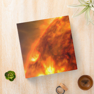 The White Dwarf Star In V407 Cygni Binder