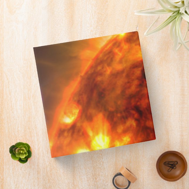 The White Dwarf Star In V407 Cygni Binder (In Situ)