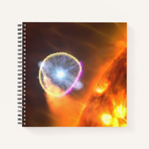 The White Dwarf Star In V407 Cygni Notebook