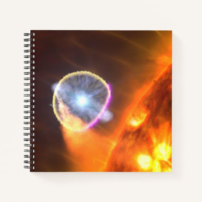 The White Dwarf Star In V407 Cygni Notebook (Front)