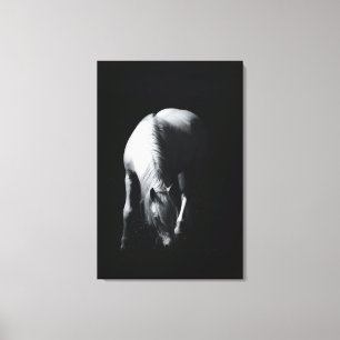 The white horse canvas print