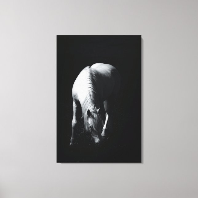 The white horse canvas print (Front)
