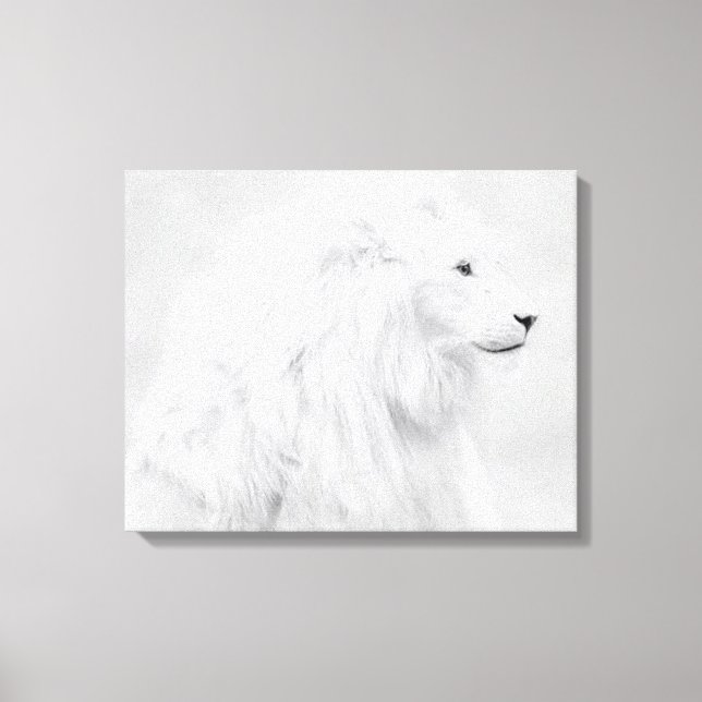 the white lion canvas print (Front)