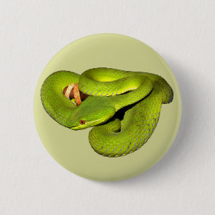 The white-lipped pit viper 2 inch round button
