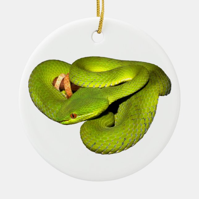 The white-lipped pit viper ceramic ornament (Front)