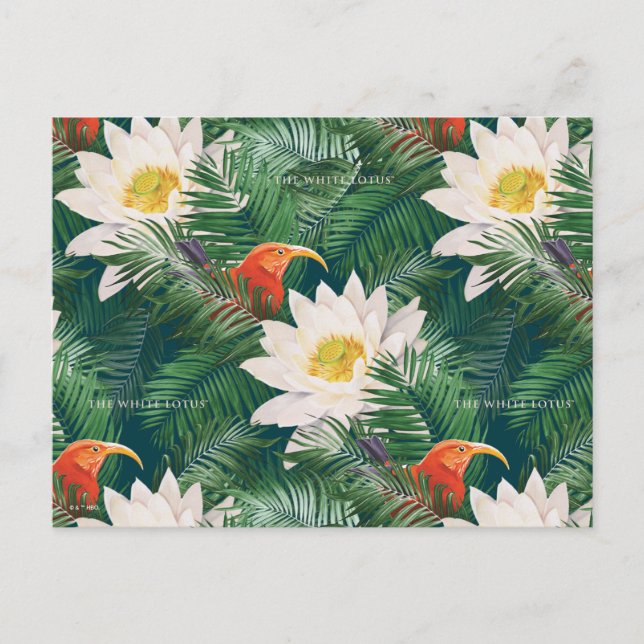 The White Lotus Tropical Birds & Lotus Pattern Postcard (Front)