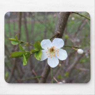 The white of spring mouse pad