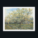 The White Orchard (F403) Van Gogh Fine Art Postcard<br><div class="desc">White Orchard,  Vincent van Gogh 1888.  Amsterdam. F 404</div>
