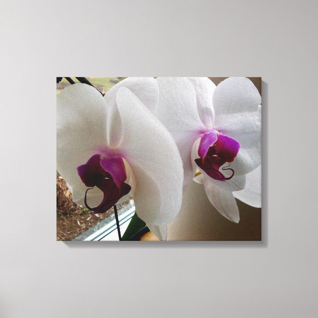 THE WHITE ORCHID canvas Print (Front)