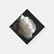 The White Rose -