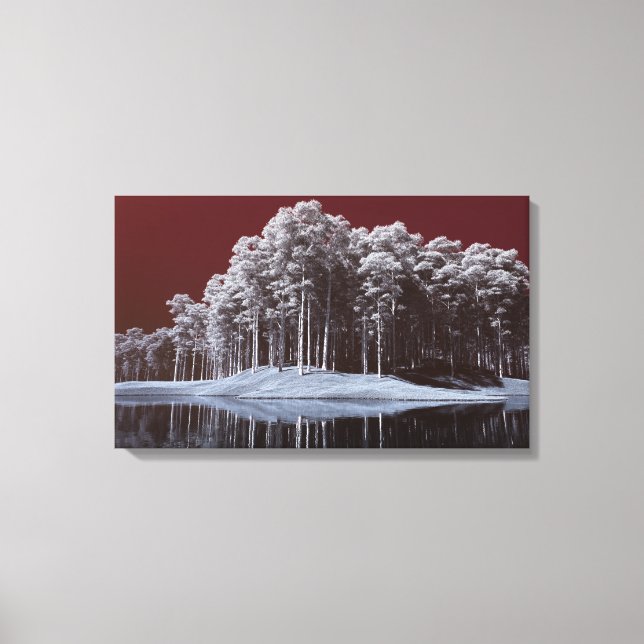 The White Woods Canvas Print (Front)