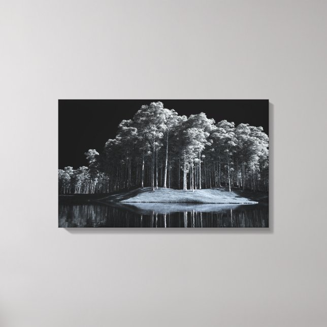 The White Woods (Night) Canvas Print (Front)