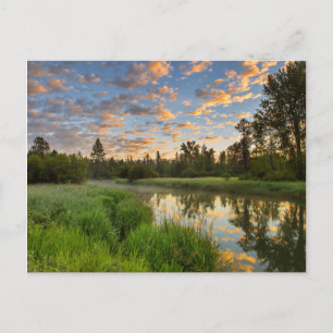 The Whitefish River with nice sunrise clouds Postcard