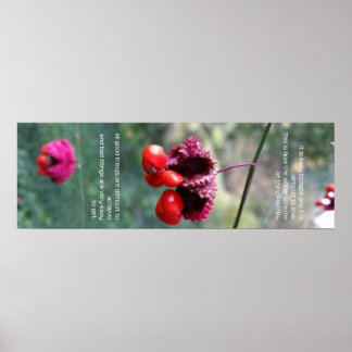 The Whole Scheme of Things Poster