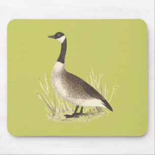 The Wild Goose (Anser canadensis) Mouse Pad