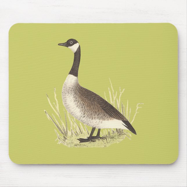The Wild Goose	(Anser canadensis) Mouse Pad (Front)