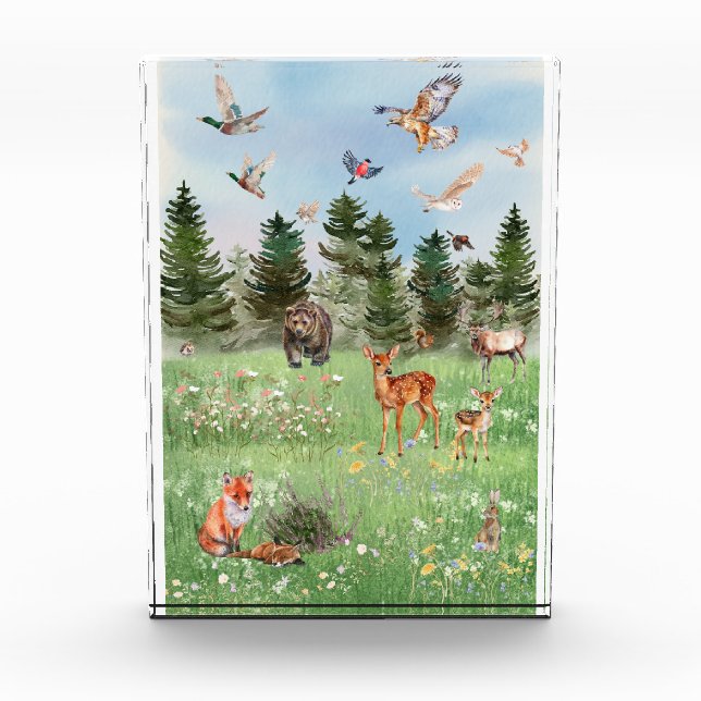 The Wild Life of Forest Animals Photo Block (Front)