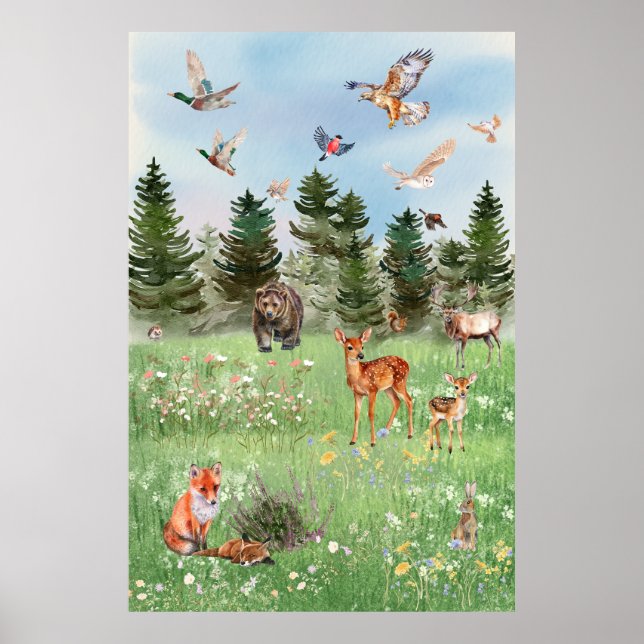 The Wild Life of Forest Animals Poster (Front)