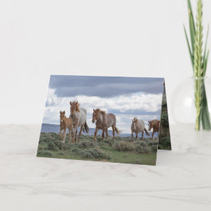 The Wild Roan Family Runs Greeting Card