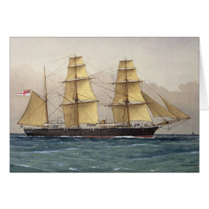 The Wild Swan, 1906