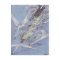 The Wild Swans