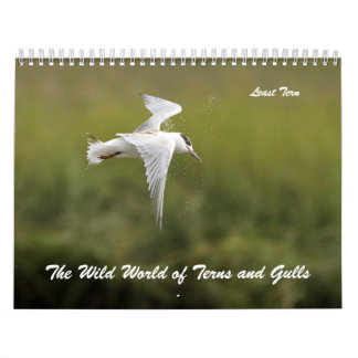 The Wild World of Terns and Gulls Calendar