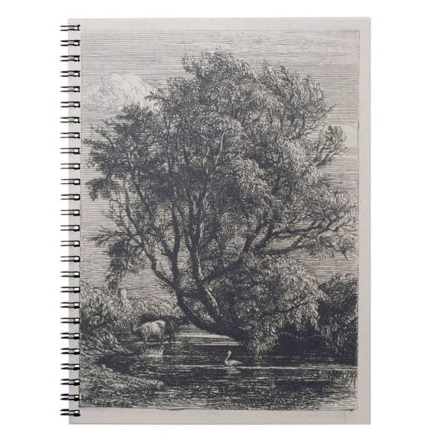 The Willow (etching) Notebook (Front)